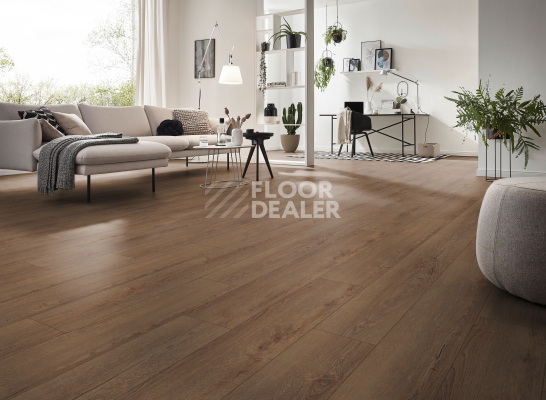Ламинат Kronotex Exquisit 8мм d41172 Дуб Горизонт кофе фото 2 | FLOORDEALER